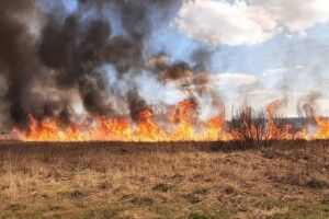На Волині зумисне підпалили сухостій біля залізничної колії?