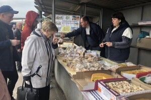 На Волині студенти та викладачі коледжу вторгували за свою продукцію 22 280 гривень на потреби ЗСУ