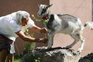 Найгарніший серед кіз – Бетмен! 
