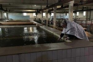 Водопровідну воду для рівнян освятив священник московського патріархату