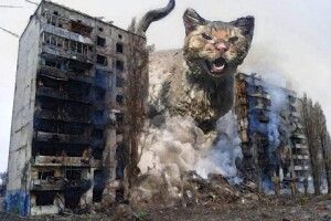 Кіт Фенікс ніби воскрес із вогню й попелу...