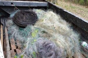 На Шацьких озерах лише за тиждень в браконьєрів вилучили 20 сіток