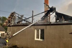 Рятувальники Рівненщини повідомили про загибель у вогні свійських тварин