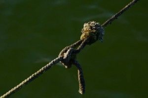 На неробочій канатній дорозі загинув 12-річний хлопчик