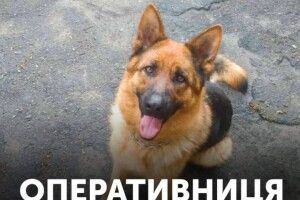 Джесі розкрила злочин всього за 10 хвилин