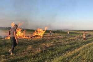 У Володимир-Волинському районі виявили трьох нічних паліїв