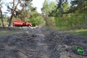У лісах Волині й Рівненщини зафіксовано 27 пожеж