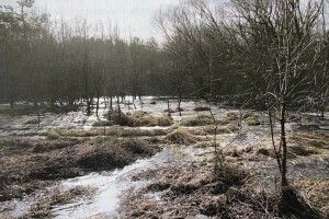 На Волині директор мʼясокомбінату постане перед судом