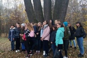 Дві дюжини школярів зі всієї Волині гайнули в Папики –  дивитися на п’ятистовбурного дуба