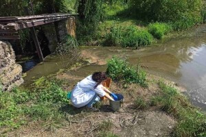 Замор риби на Кічкарівських ставках призвів до поширення смороду