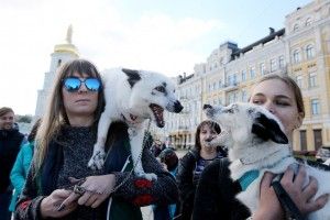  Українці вийшли на марш за права тварин 