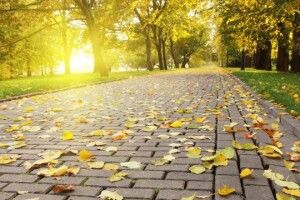 В Україну повертається тепло 