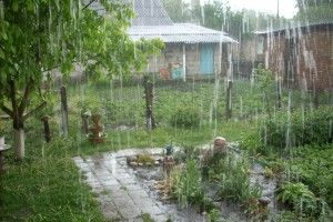 У Любешові випав град завбільшки, як вишня