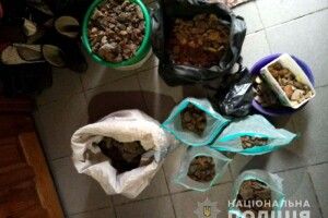 Рівненські поліцейські продовжують «добувати» бурштин у порушників