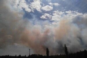 У Чорнобильській зоні палає 10 га лісу