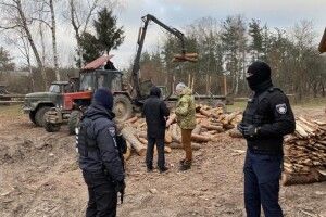 У Камінь-Каширському районі – масові обшуки. Підозрюють незаконну вирубку лісу