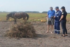 Прийшла осінь – на Любешівщині димлять поля