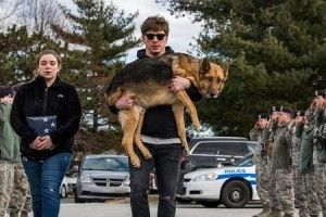 Військові зі сльозами на очах прощалися з собакою-героєм 