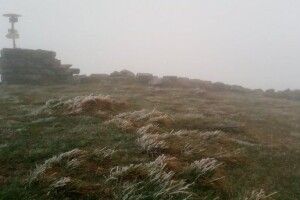 У Карпатах випав перший сніг