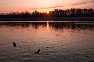 На Волині охорона нацпарку «почистила» озера від 1800 метрів сіток