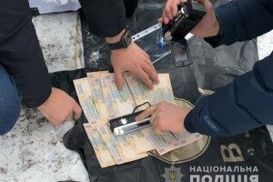 На Волині сільський голова взяв хабар за ялинки