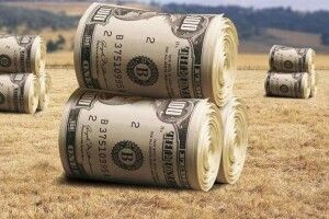 Сто днів «ринку землі»: скільки гектарів продали на Волині 