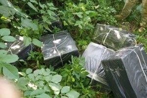 Понад 22 тисячі пачок контрабандних сигарет затримали прикордонники (Фото, відео)