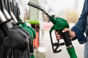 Чому незвичні відвідувачі заправки у Володимирі повелися по-свинськи