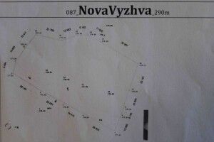 Між селами Нова Вижва та Брідки упорядкують єврейське кладовище