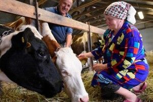 У Шацькій ОТГ планують створити сімейні молочні ферми