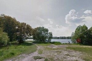 Члени виконкому не повірили: у Ковелі зріжуть 136 дерев
