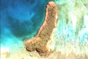 Американка знайшла в Тихому океані острів-цюцюрник