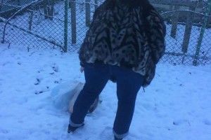 На Вільямса злапали двох пані, які підкидали сміття під сусідський паркан (фото)