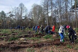 На Ковельщині висадили майже 7 тисяч дерев