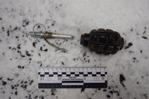 На Волині затримала водія з бойовою гранатою та наркотиками