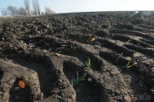 Прокуратура розслідує виділення атовцям земельних ділянок… на кладовищі