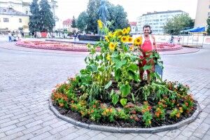 Лучанин подарував місту на День Незалежності соняхи і чорнобривці, а вони зникли (фото)