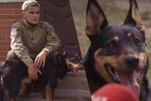 Вірний друг бійця з Волині повернувся додому