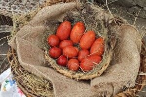 Рівненський зоопарк підготував до Великодня гігантські крашанки (Фото)