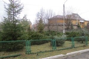 У селі на Рівненщині вкрали ялинку, пофарбовану вапном