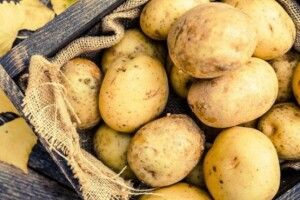 Волинь не увійшла до найбільш картопляних областей України