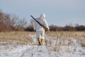 На Маневиччині вполювали вовка та вовчицю (Фото 18+)