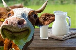 «Пийте, діти, молоко – будете здорові!» (Найкращі рецепти)