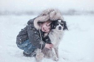 Сьогодні можна допомогти собачкам не лише повідомленнями у соціальних мережах