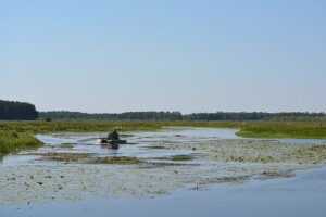 Небайдужі любешівці дбають про річку Стохід