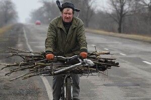Українці вимагають безперешкодного права збирати дрова в лісі, не озираючись на лісників, поліцію та олігархів