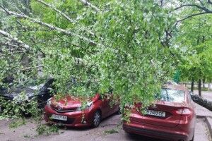 Ураганний вітер валив дерева, блокував дороги і травмував людей (Фото. Відео)