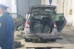 «Гав-гав-гав: у цього француза в кишені марихуана!»