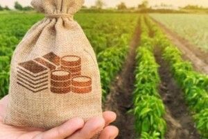 Волинські аграрії розвивають бізнес за підтримки держави