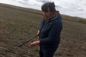 Як погода у вересні вплинула на врожай волинян
